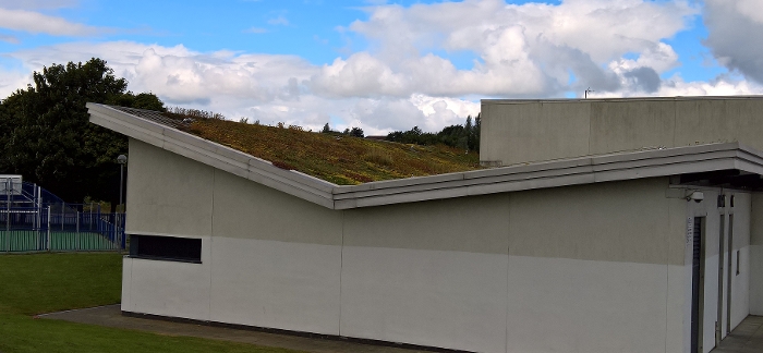 Molendinar CC green roof 